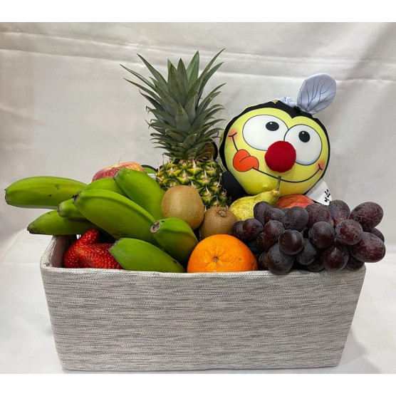 Caja Frutal Ref 566